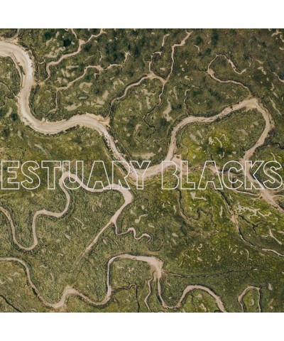 Estuary Blacks Vinyl Record $16.32 Vinyl